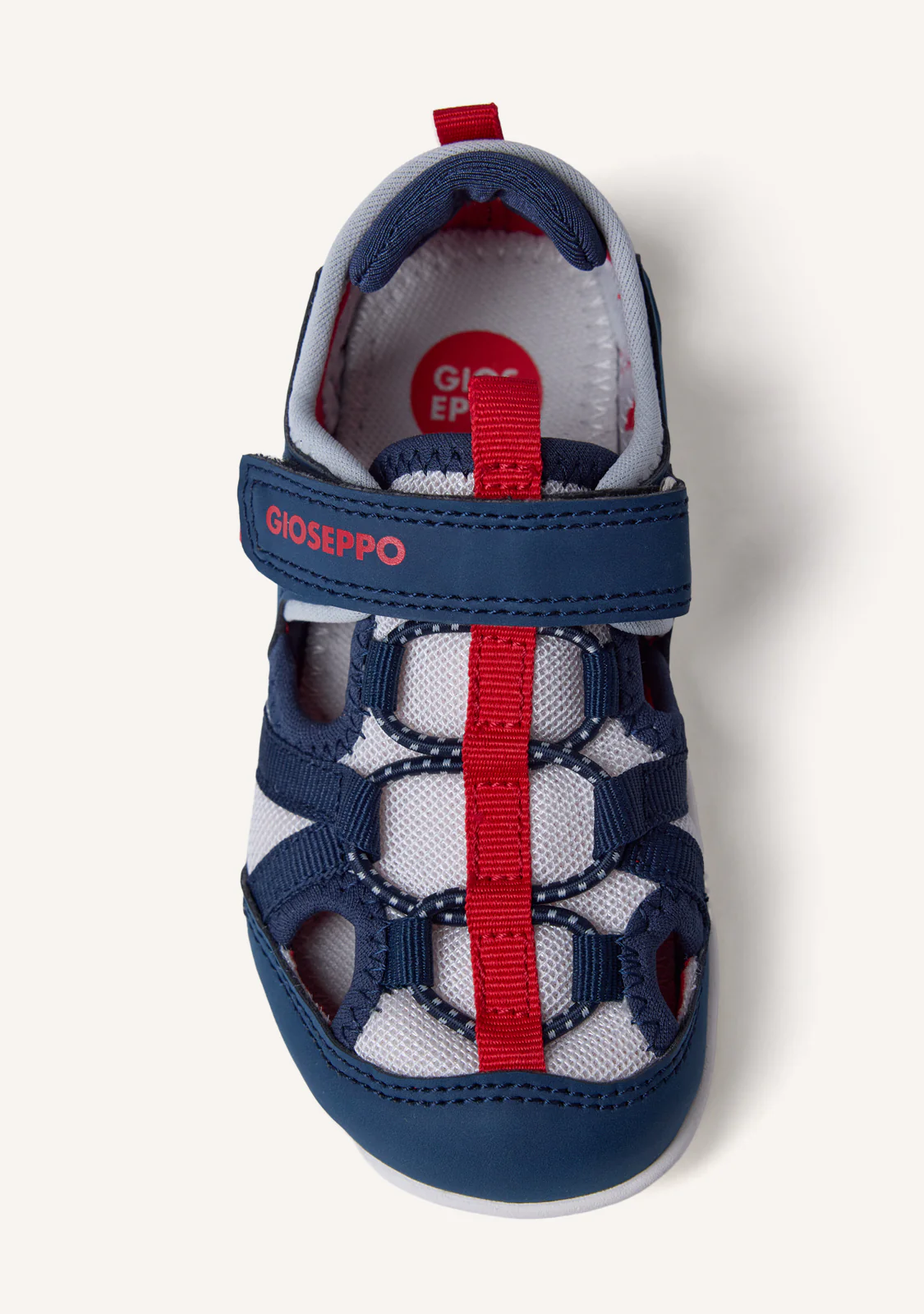 Calabar Marino. - Imagen 2