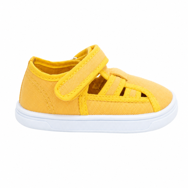molly yellow.