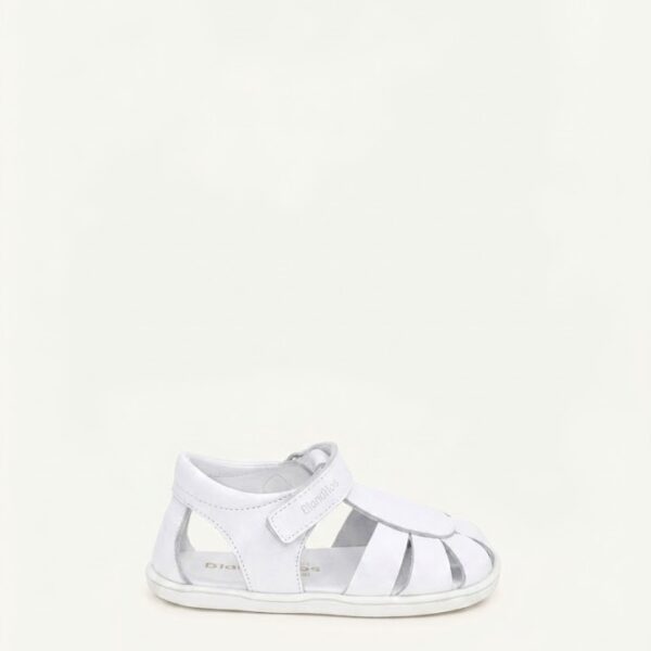 india blanco.