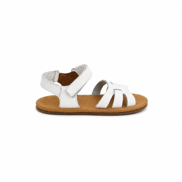 blanditos by crio's verona blanco