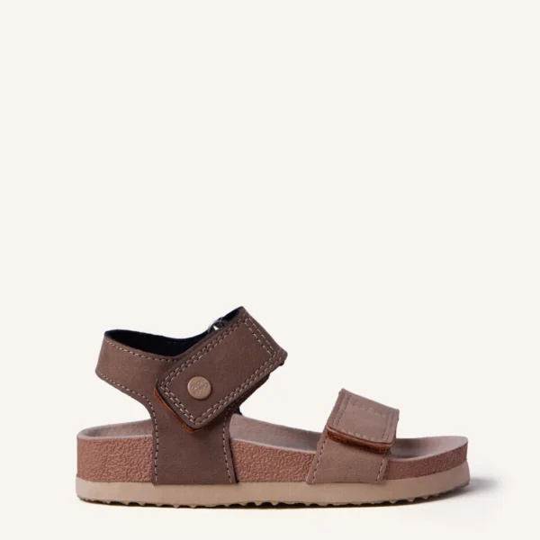 scribner taupe