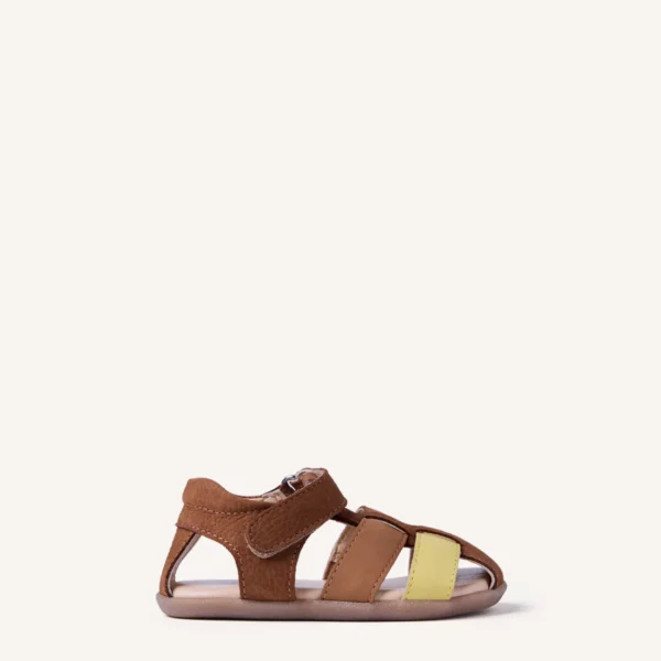 morley cuero